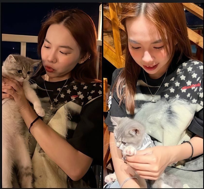 Phim Chịch mượt Lưu Ngọc Anh chiều lòng đại gia